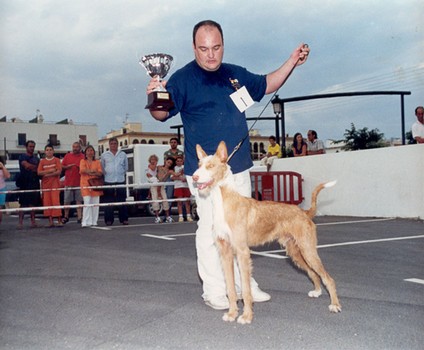 Andy de la sierra de avila.jpg