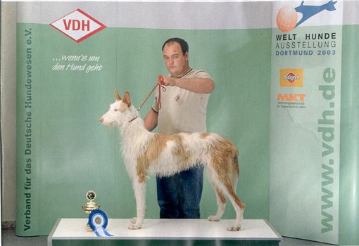 Bula de la Costa Seros.jpg