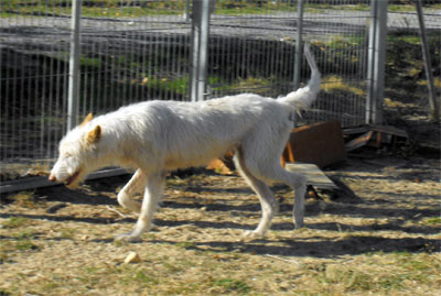 Linda de la Sierra de Avila.jpg